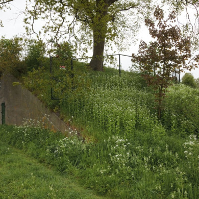 Rijksdienst voor het Cultureel Erfgoed
