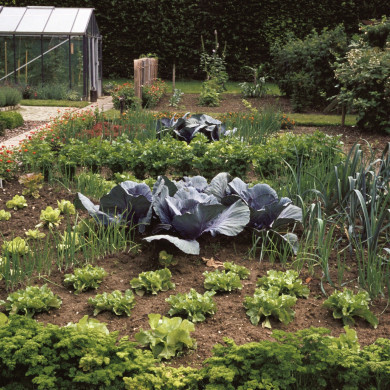 Rijksdienst voor het Cultureel Erfgoed: Heuff M. (Marijke)