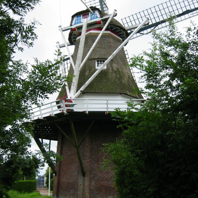 Rijksdienst voor het Cultureel Erfgoed: Terpstra, Frank