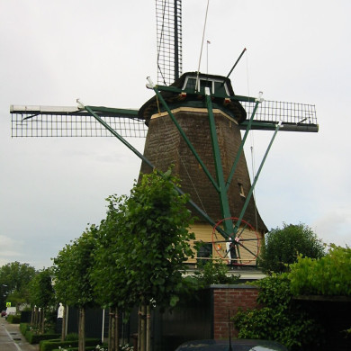 Rijksdienst voor het Cultureel Erfgoed: Terpstra, Frank