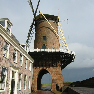 Rijksdienst voor het Cultureel Erfgoed: Terpstra, Frank