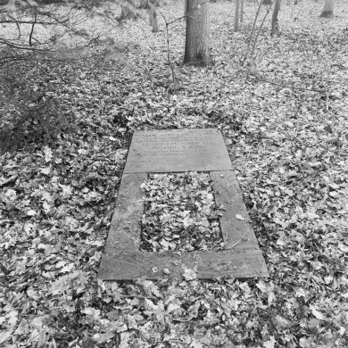 Rijksdienst voor het Cultureel Erfgoed: Wal, A.J. van der