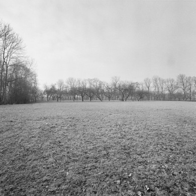 Rijksdienst voor het Cultureel Erfgoed: Wal, A.J. van der