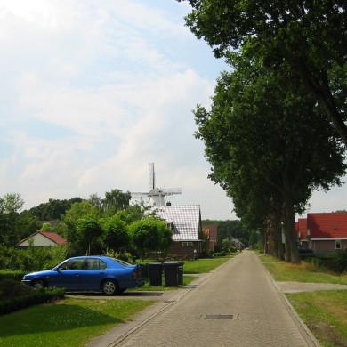 Rijksdienst voor het Cultureel Erfgoed: Terpstra, Frank