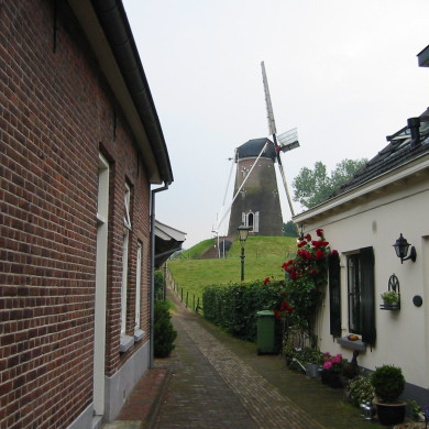 Rijksdienst voor het Cultureel Erfgoed: Terpstra, Frank