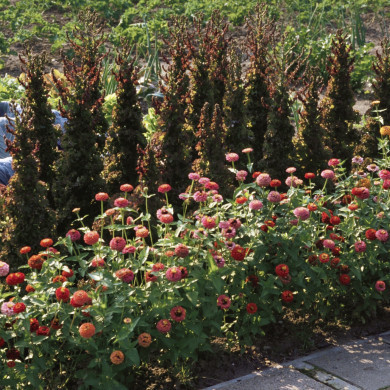 Rijksdienst voor het Cultureel Erfgoed: Heuff M. (Marijke)