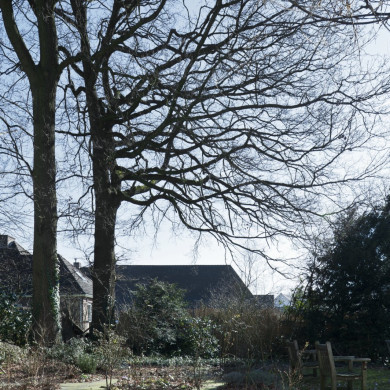 Rijksdienst voor het Cultureel Erfgoed: Technau, Sergé