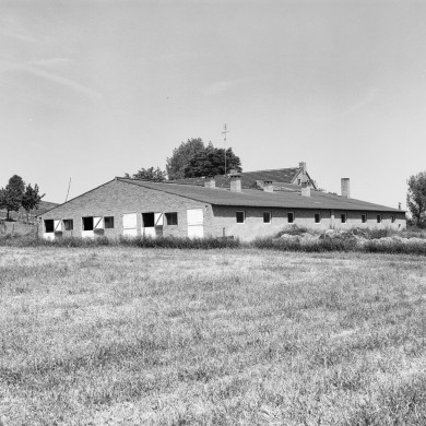 Rijksdienst voor het Cultureel Erfgoed: Tangel, L.M.