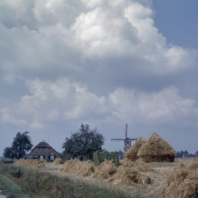 Rijksdienst voor het Cultureel Erfgoed