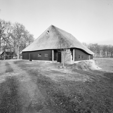 Rijksdienst voor het Cultureel Erfgoed: Heins, IJ.Th.