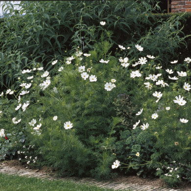 Rijksdienst voor het Cultureel Erfgoed: Heuff M. (Marijke)