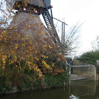 Rijksdienst voor het Cultureel Erfgoed: Terpstra, Frank