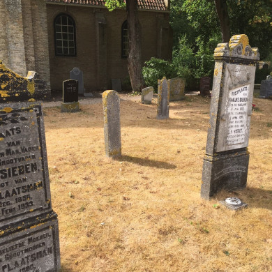 Rijksdienst voor het Cultureel Erfgoed: Dolfin, M. en Erkelens, M.