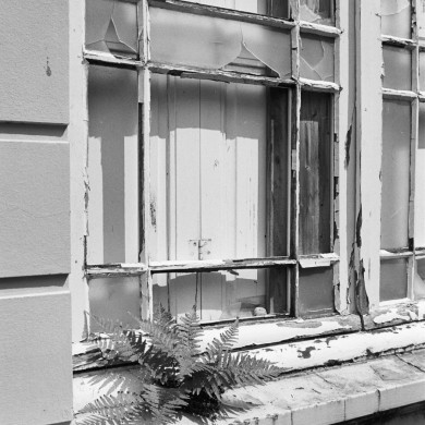 Rijksdienst voor het Cultureel Erfgoed: Tangel, L.M.