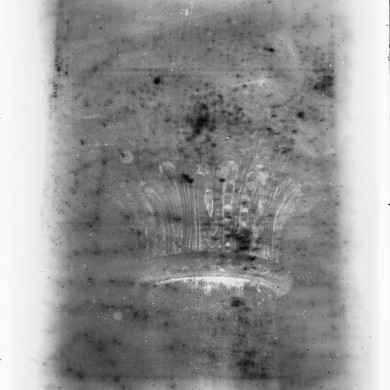 Rijksdienst voor het Cultureel Erfgoed