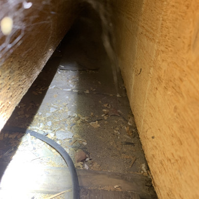 Rijksdienst voor het Cultureel Erfgoed: Bogers, Guido