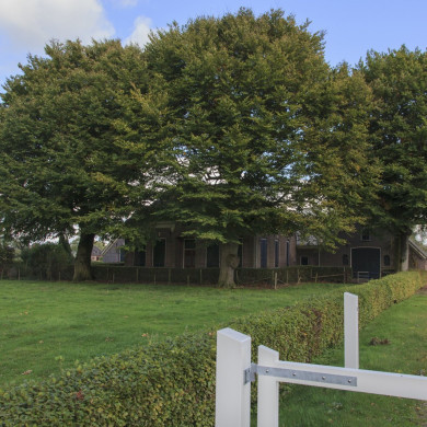 Rijksdienst voor het Cultureel Erfgoed: Jong, Nanette de