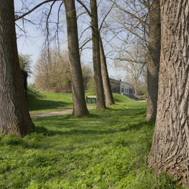 Rijksdienst voor het Cultureel Erfgoed: Booms, C.S. (Chris)-Galen, P. (Paul) van
