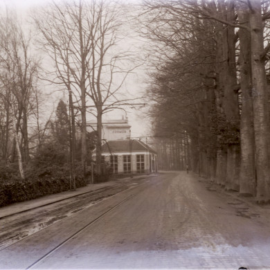 Rijksdienst voor het Cultureel Erfgoed: Brinio