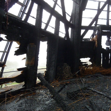 Rijksdienst voor het Cultureel Erfgoed: Bogers, Guido