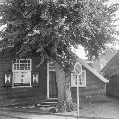 Rijksdienst voor het Cultureel Erfgoed: Schellekens, P.C.