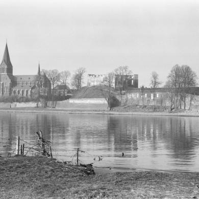 Rijksdienst voor het Cultureel Erfgoed: Delemarre, G.Th.