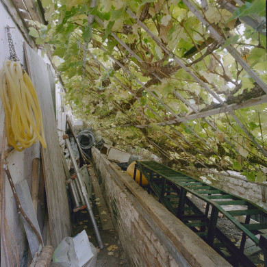 Rijksdienst voor het Cultureel Erfgoed: Heins, IJ.Th.