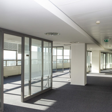 Rijksdienst voor het Cultureel Erfgoed: Steen, Monique van der