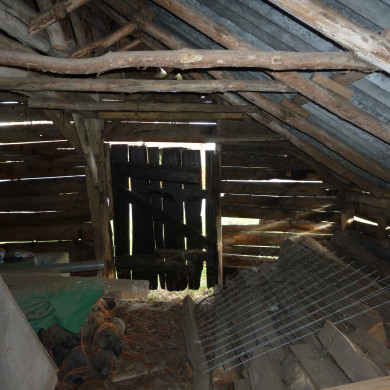 Rijksdienst voor het Cultureel Erfgoed: Wal, Henry van der