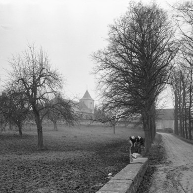 Rijksdienst voor het Cultureel Erfgoed: Delemarre, G.Th.
