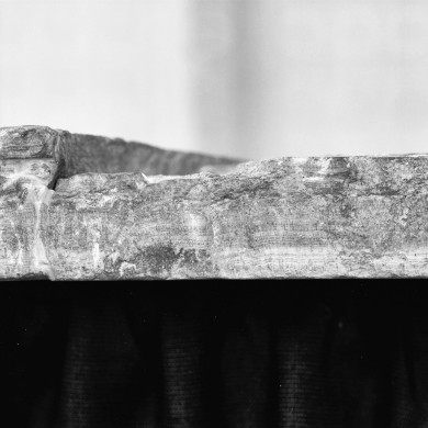 Rijksdienst voor het Cultureel Erfgoed: Galen, P. (Paul) van