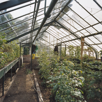 Rijksdienst voor het Cultureel Erfgoed: Heins, IJ.Th.