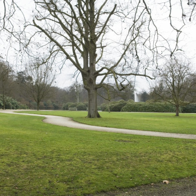 Rijksdienst voor het Cultureel Erfgoed: Galen, Jan van