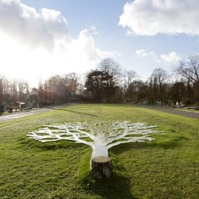 Rijksdienst voor het Cultureel Erfgoed: Booms, C.S. (Chris)