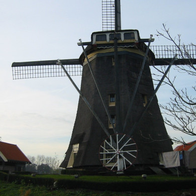Rijksdienst voor het Cultureel Erfgoed: Terpstra, Frank