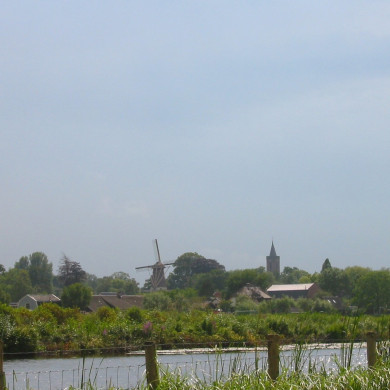 Rijksdienst voor het Cultureel Erfgoed: Terpstra, Frank