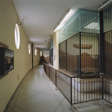 Rijksdienst voor het Cultureel Erfgoed: Wal, A.J. van der