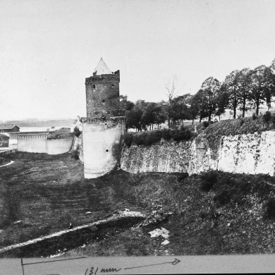 Rijksdienst voor het Cultureel Erfgoed: Koning, J.P. de