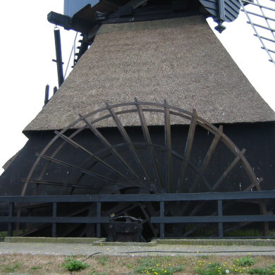 Rijksdienst voor het Cultureel Erfgoed: Terpstra, Frank