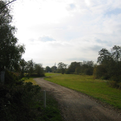 Rijksdienst voor het Cultureel Erfgoed: Terpstra, Frank