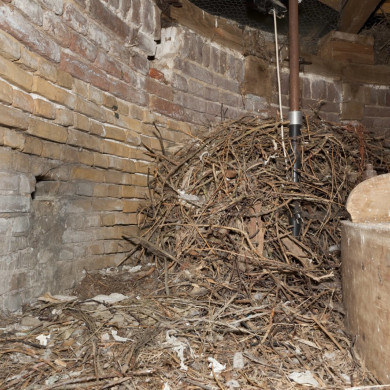 Rijksdienst voor het Cultureel Erfgoed: Booms, C.S. (Chris)