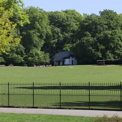 Rijksdienst voor het Cultureel Erfgoed: Jong, Nanette de