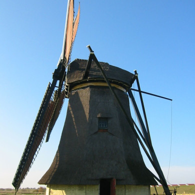 Rijksdienst voor het Cultureel Erfgoed: Terpstra, Frank