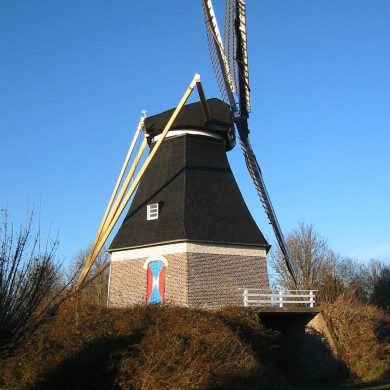 Rijksdienst voor het Cultureel Erfgoed: Terpstra, Frank