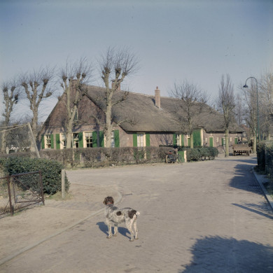 Rijksdienst voor het Cultureel Erfgoed: Bouma, S.J.