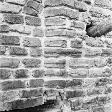 Rijksdienst voor het Cultureel Erfgoed: Delemarre, G.Th.