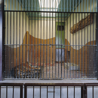 Rijksdienst voor het Cultureel Erfgoed: Wal, A.J. van der