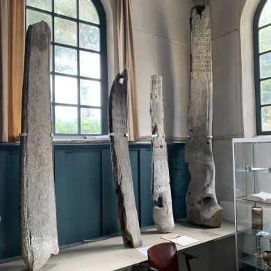 Rijksdienst voor het Cultureel Erfgoed: Bogers, Guido