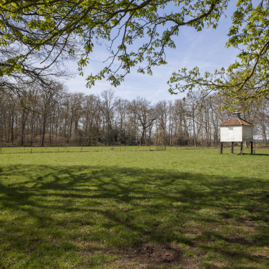 Rijksdienst voor het Cultureel Erfgoed: Sar, Wouter van der