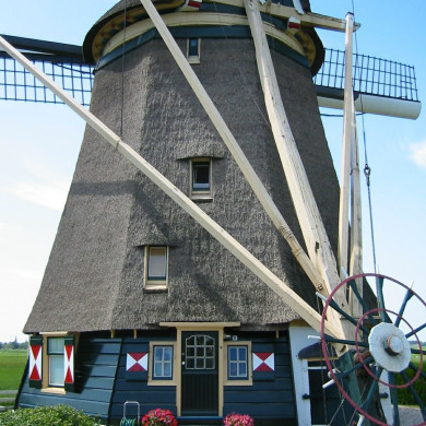 Rijksdienst voor het Cultureel Erfgoed: Terpstra, Frank